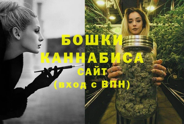 прущие грибы Михайлов