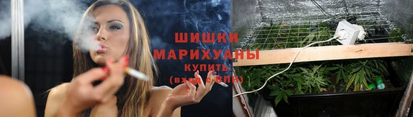 трава Наволоки