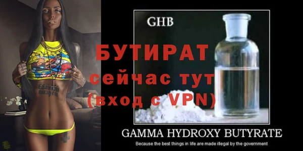 прущие грибы Михайлов