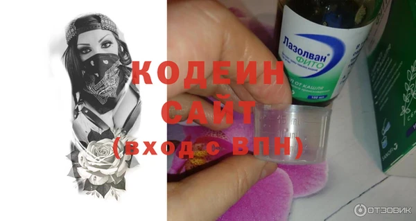 прущие грибы Михайлов