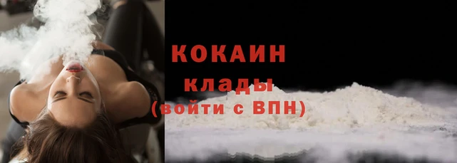 трава Наволоки