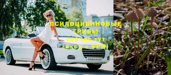 прущий лед Михайловка