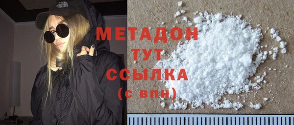 прущие грибы Михайлов