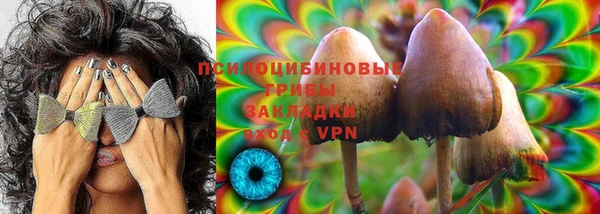 прущий лед Михайловка