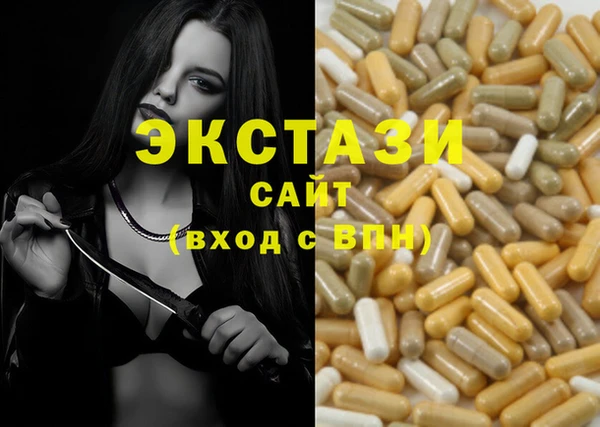 стаф Дмитров