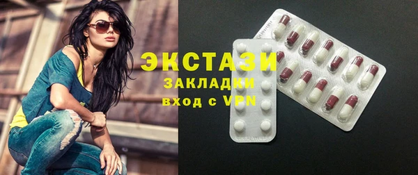 прущие грибы Михайлов