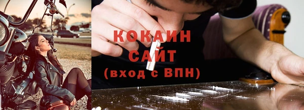 прущие грибы Михайлов