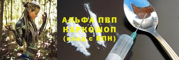 прущие грибы Михайлов