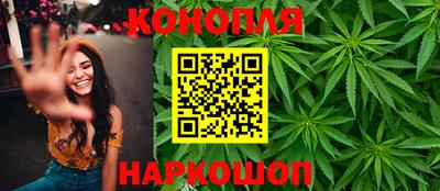 гидра Волгодонск