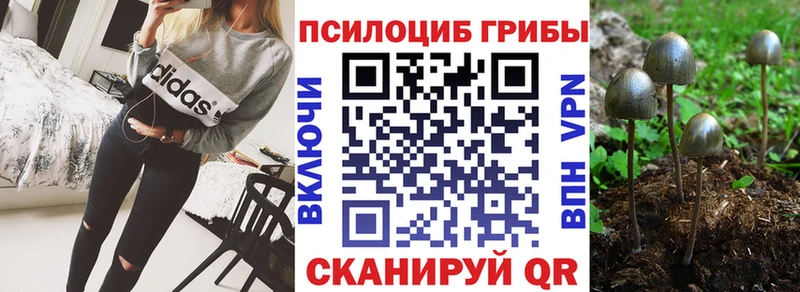 Псилоцибиновые грибы Psilocybine cubensis  купить наркотик  Кингисепп 