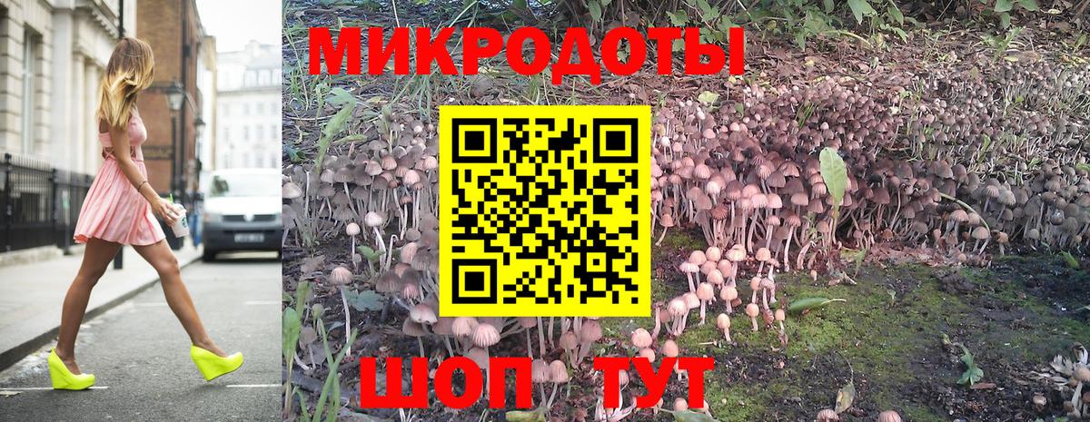 хочу   Вход с VPN  Кингисепп  Псилоцибиновые грибы Psilocybe 
