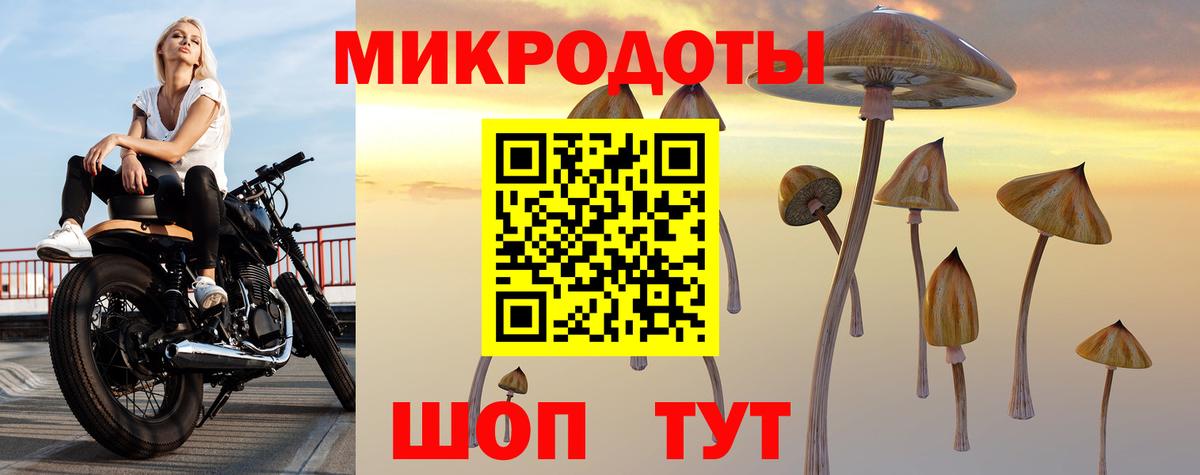 Галлюциногенные грибы MAGIC MUSHROOMS Кингисепп